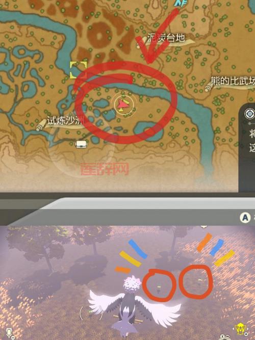 月之领主刷图加点：快速高效刷怪升级