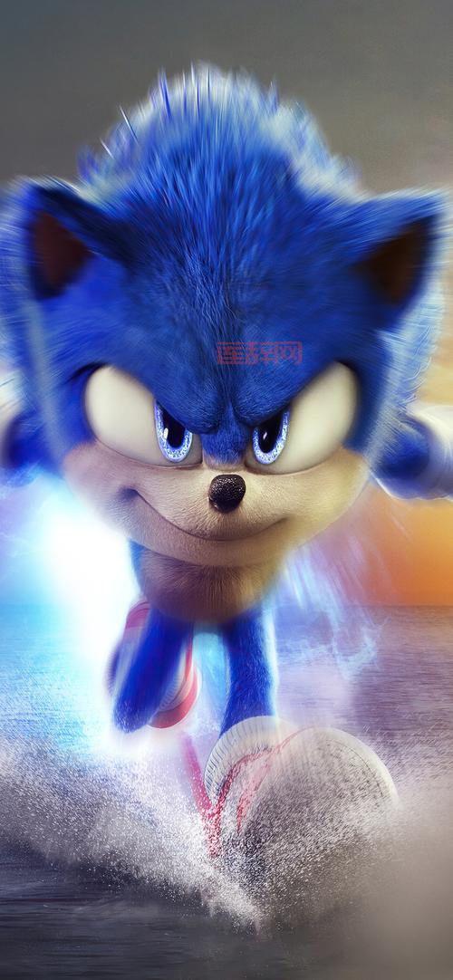 索尼克狂欢手机版下载：免费畅玩，开启你的冒险之旅！