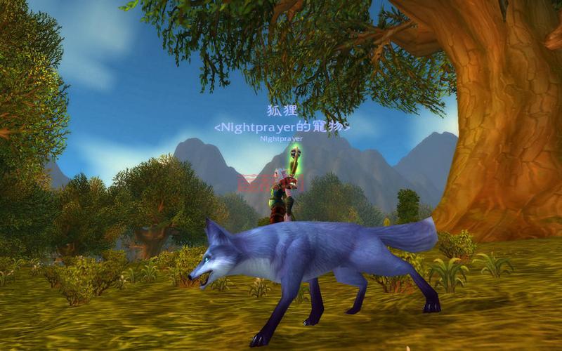 魔兽世界智者奥尔姆：费伍德森林稀有宠物，属性及捕捉技巧