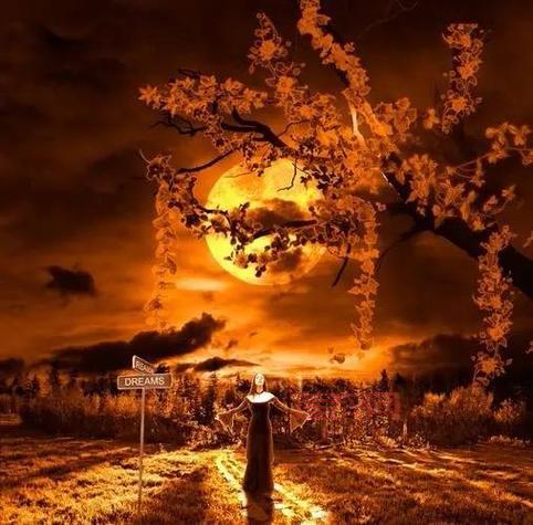 翅膀幼女：现实中的天使，还是虚幻的梦境？