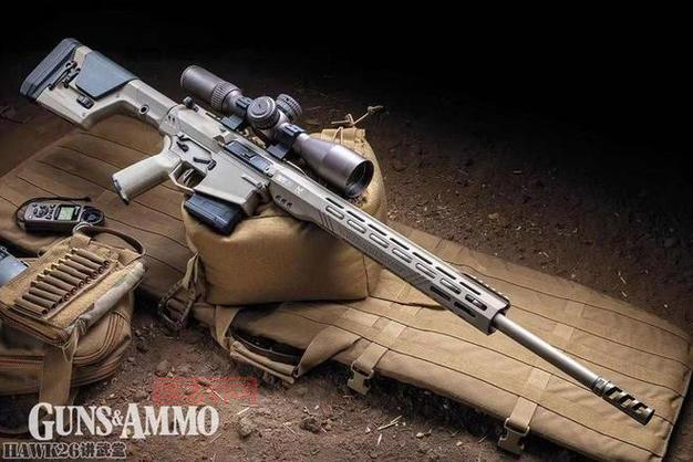 弹药专家最适合的武器选择：步枪、手弩解析