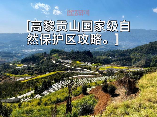 欧陆风云3神风老玩家才知道的独家秘籍分享！