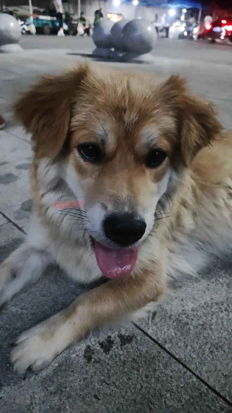 做梦穿越梦幻大唐？不，这是我的真实经历