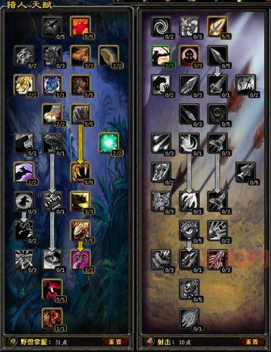 80级猎人宠物天赋加点方案，轻松应对各种挑战！