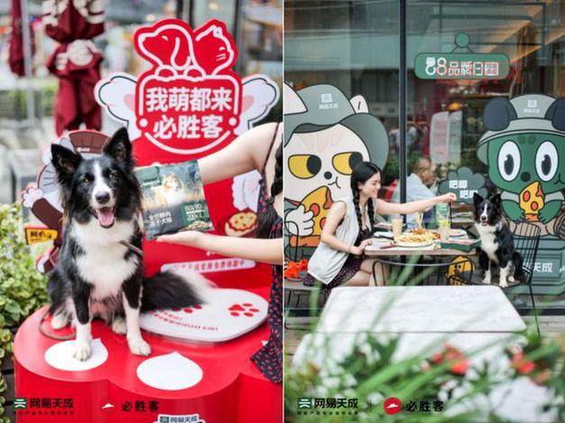 中国必胜客店铺突破500家，品牌发展迈向新高峰