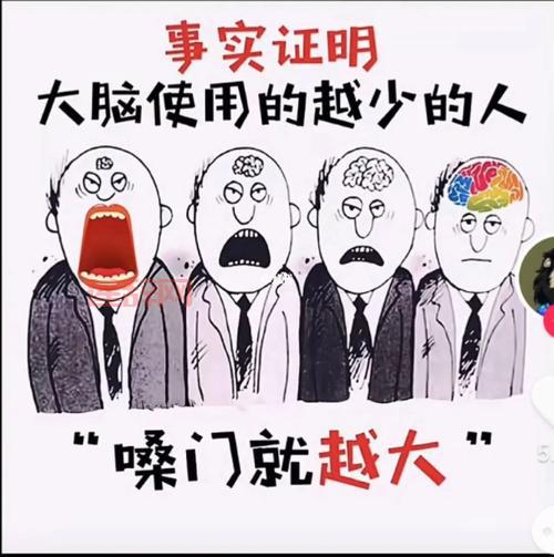 几度菊花香：特殊年代下的爱情抉择与人性探索