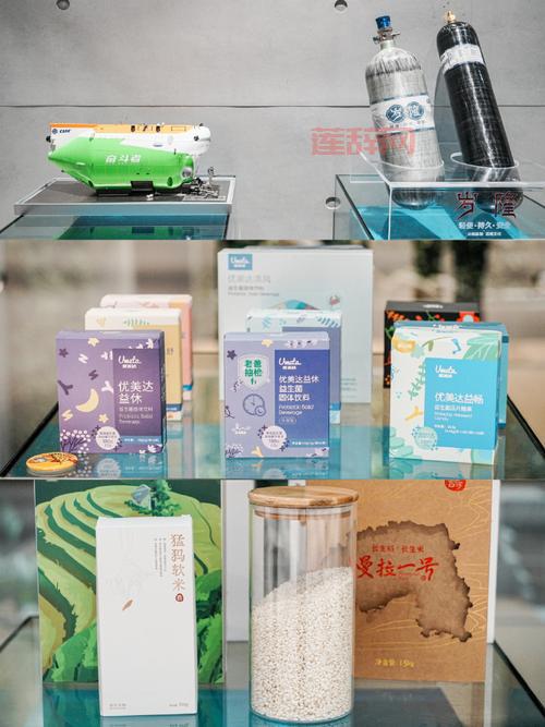 想玩转二进制领域？这篇超详细的通关攻略带你飞！