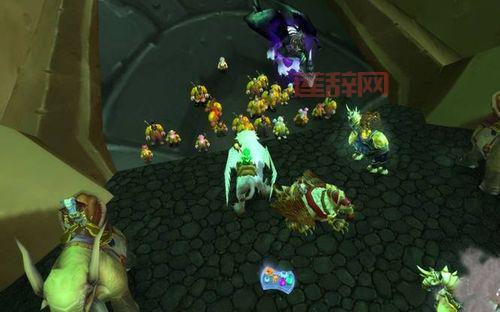 赞加沼泽采药路线怎么规划？老玩家分享高效路线！