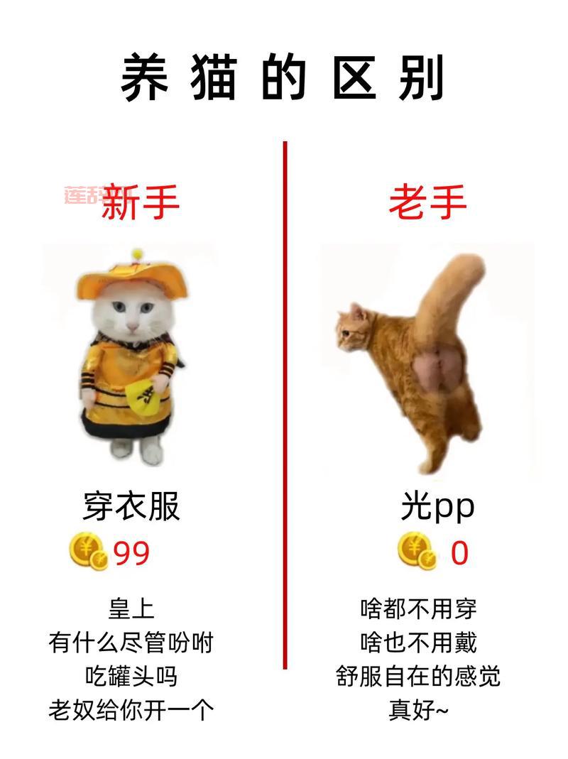 永恒之塔怪物分布图大揭秘！新手老手必看刷怪攻略！