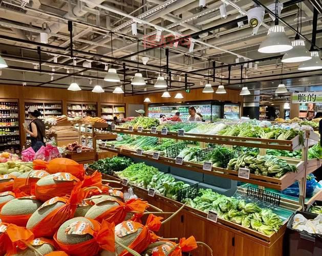 武林立志传秘籍解析：所有秘籍出处与技能技巧一览