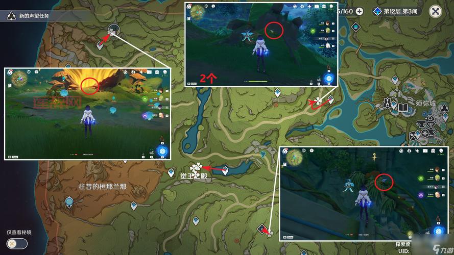 原神树王圣体菇位置一览：最佳采集路线与位置解析