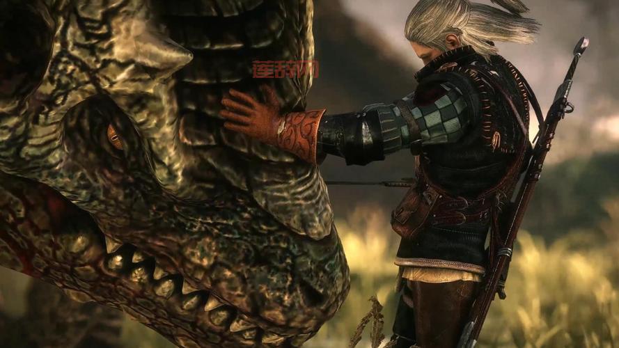 巫师2全剧情攻略：如何选择职业与技能发展