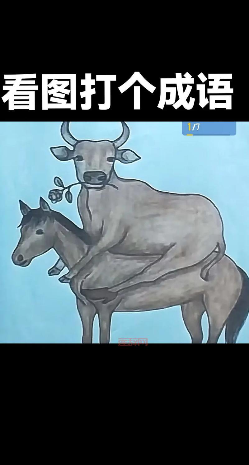 疯狂猜成语红心投篮答案解析:全心投入成语揭秘