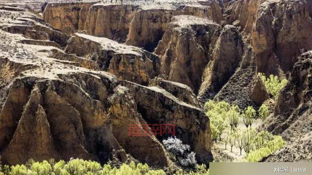 志丹县地貌大揭秘：黄土高原上的沟壑与河流