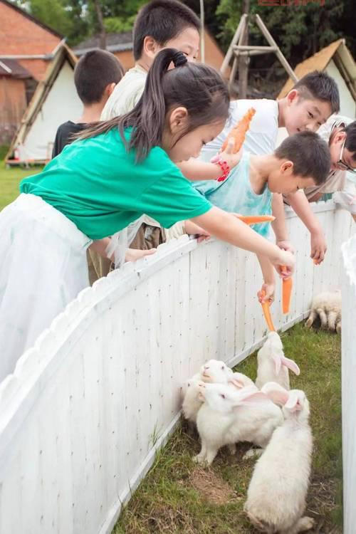 神之终途：探索神秘世界的终极冒险