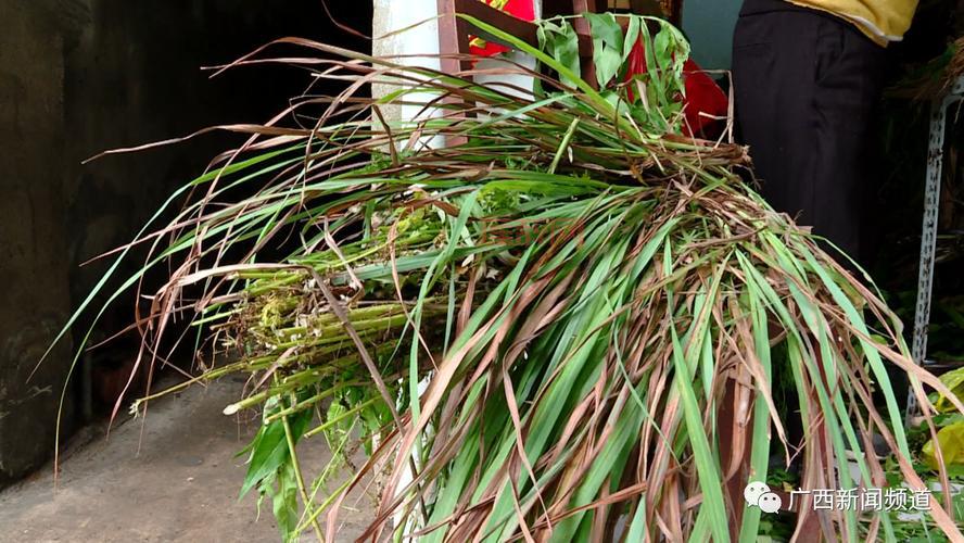 沐兰汤：端午节传统草药浴的健康与祛病功效