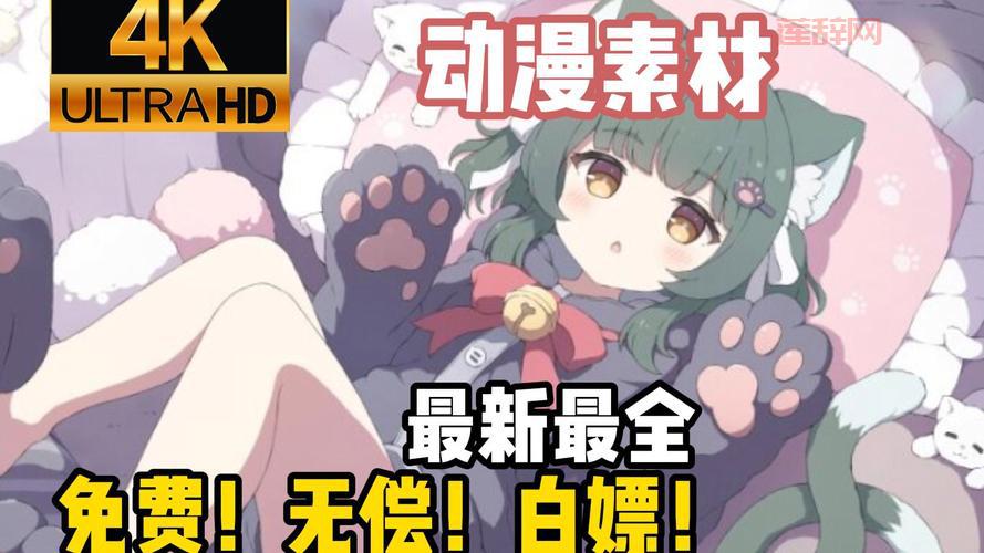 九阴真经免费网站良心推荐，白嫖党的福音！