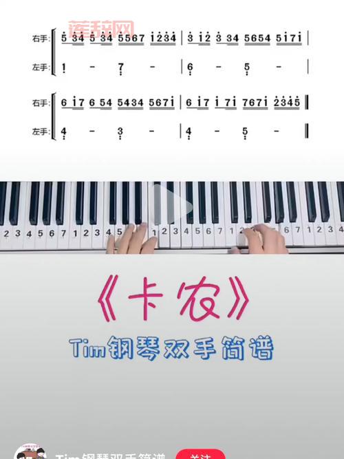 晴天摩尔庄园钢琴教程：轻松学会弹奏