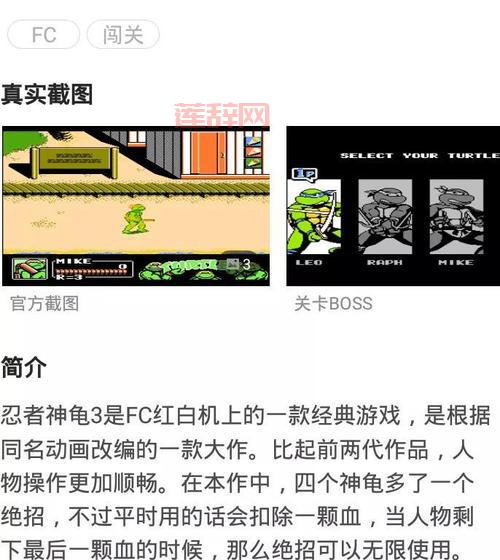 忍者神龟2007攻略：如何快速掌握战斗技巧与角色选择