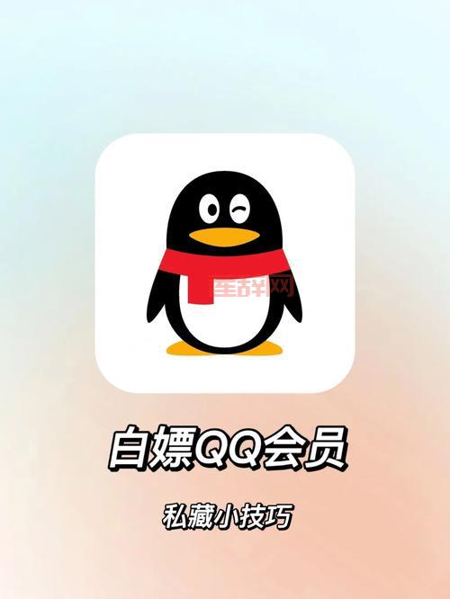 如何获取qq特权？QQ会员功能详解与优惠