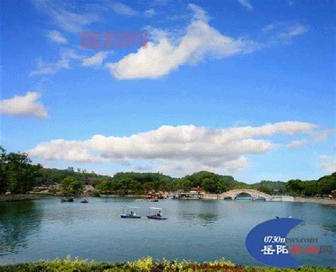 爱情岛论坛线路器1是什么？这篇详细介绍一下！