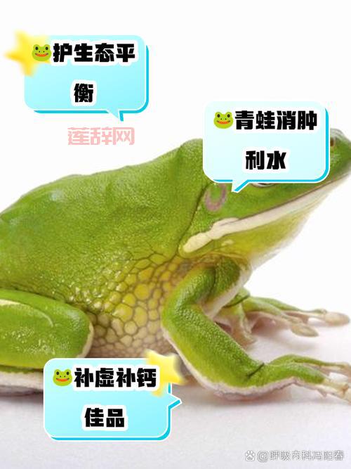 北风蛙能活多久？这种小动物寿命有多长？