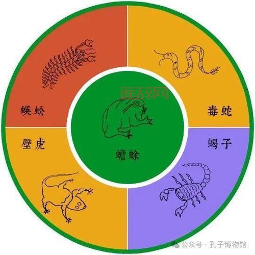 五毒兽有毒吗？饲养五毒兽必须要知道的几个点！