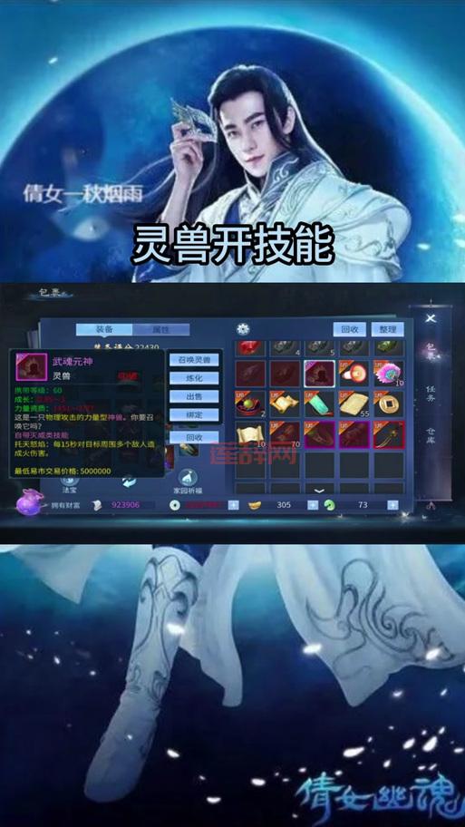 倩女幽魂灵兽加点指南：全面解析灵兽属性与加点！