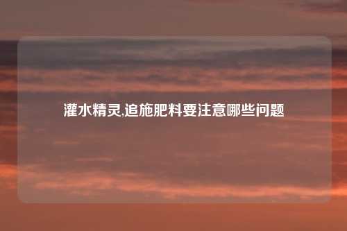 灌水精灵,追施肥料要注意哪些问题