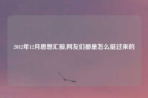 2012年12月思想汇报,网友们都是怎么挺过来的