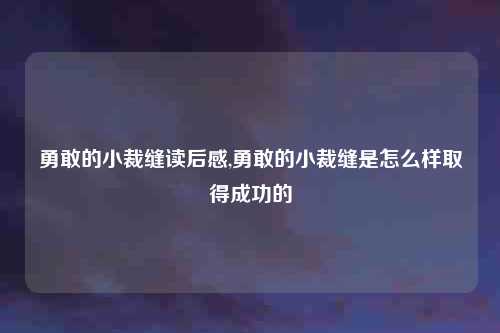 勇敢的小裁缝读后感,勇敢的小裁缝是怎么样取得成功的
