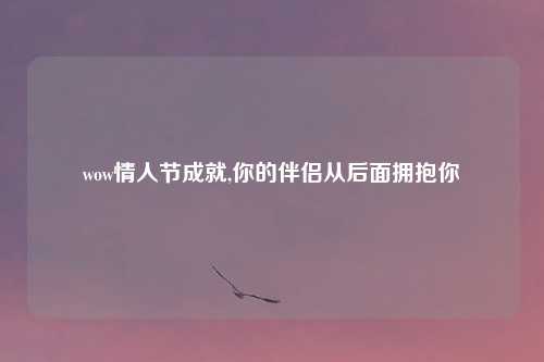 wow情人节成就,你的伴侣从后面拥抱你