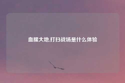 血腥大地,打扫战场是什么体验