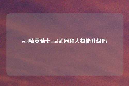 csol精英骑士,csol武器和人物能升级吗
