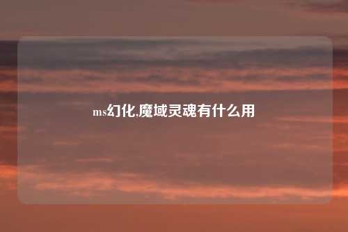 ms幻化,魔域灵魂有什么用