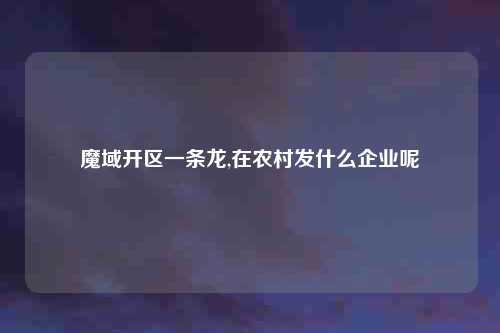 魔域开区一条龙,在农村发什么企业呢
