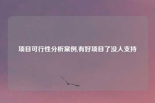 项目可行性分析案例,有好项目了没人支持