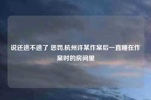 说还逃不逃了 惩罚,杭州许某作案后一直睡在作案时的房间里