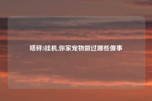 嗒砰3挂机,你家宠物做过哪些傻事