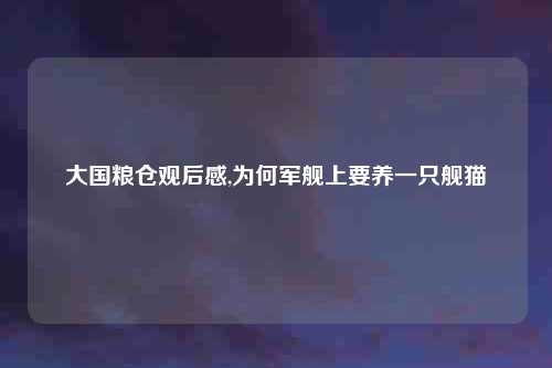 大国粮仓观后感,为何军舰上要养一只舰猫