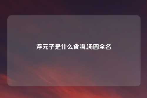 浮元子是什么食物,汤圆全名