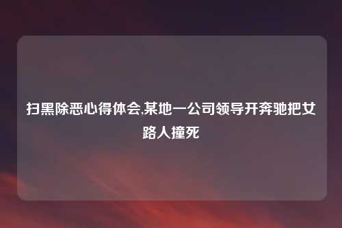 扫黑除恶心得体会,某地一公司领导开奔驰把女路人撞死