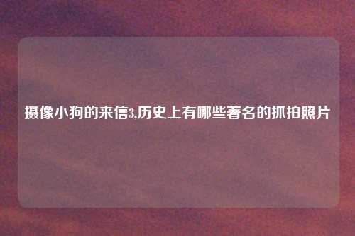 摄像小狗的来信3,历史上有哪些著名的抓拍照片