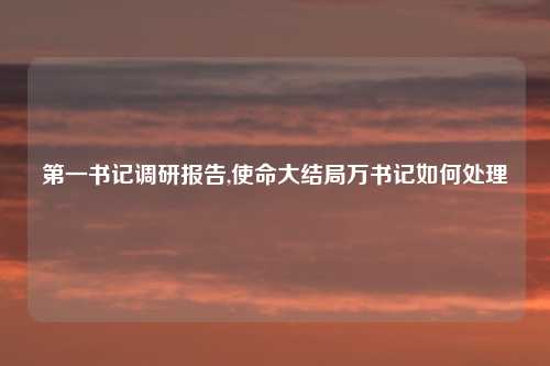 第一书记调研报告,使命大结局万书记如何处理