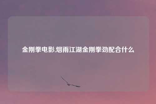 金刚拳电影,烟雨江湖金刚拳劲配合什么