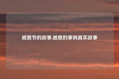 感恩节的故事,感恩的事例真实故事