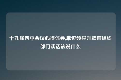 十九届四中会议心得体会,单位领导升职前组织部门谈话该说什么