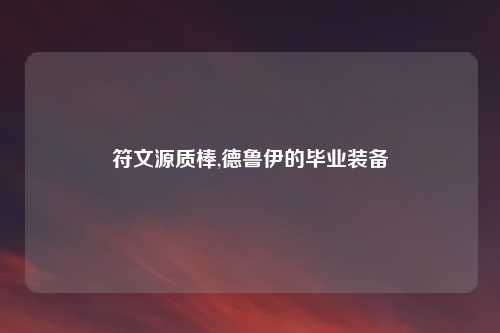 符文源质棒,德鲁伊的毕业装备