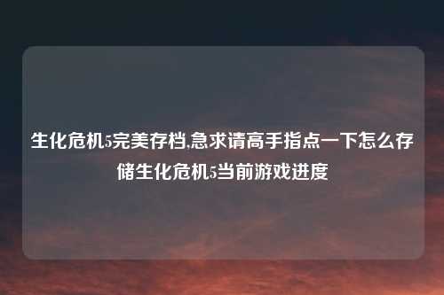 生化危机5完美存档,急求请高手指点一下怎么存储生化危机5当前游戏进度