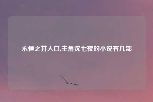 永恒之井入口,主角沈七夜的小说有几部